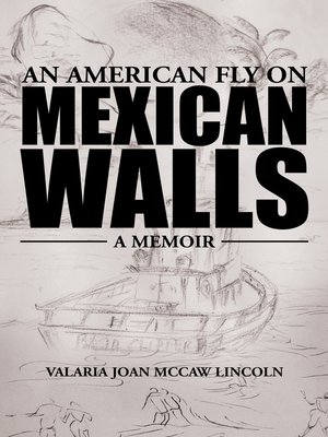cover image of An American Fly on Mexican Walls